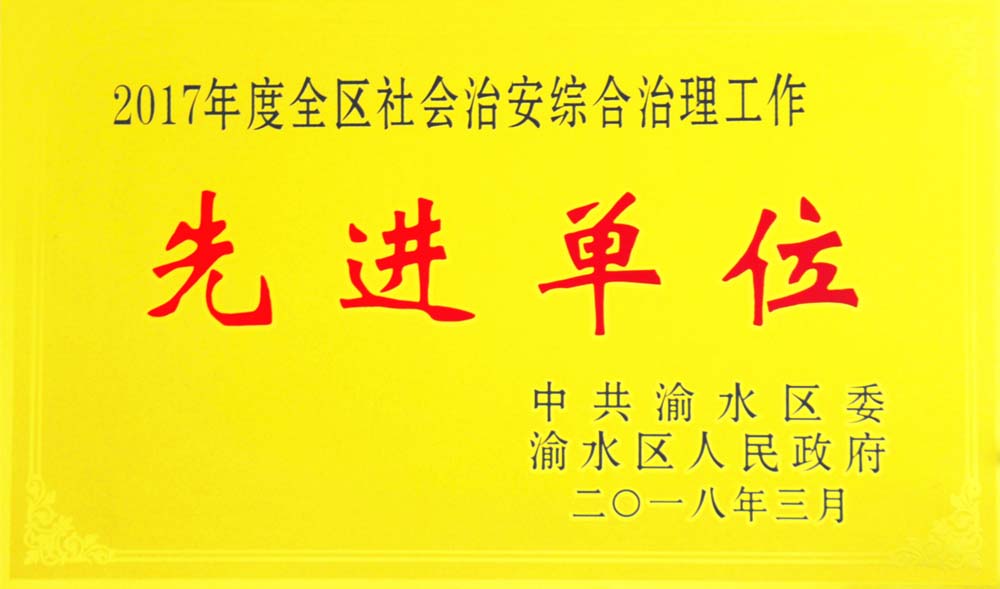 2017年度全区社会治安综合治理工作先进单位